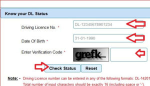 Know your DL Status