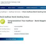 Bank DBT Status Check Aadhaar Seeding DBT Status Bank DBT Enabled or not