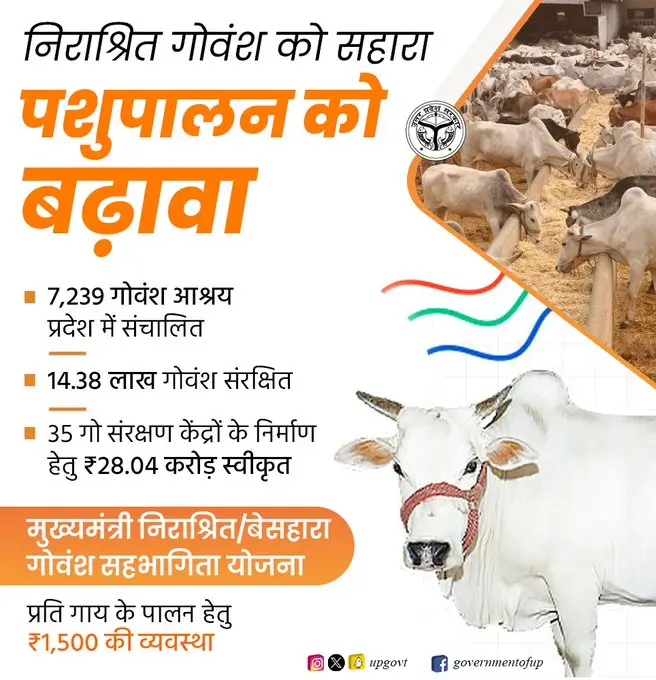UP Govansh Sahbhagita Yojana 2026 Mukhyamantri nirashrit govansh sahbhagita yojana status
